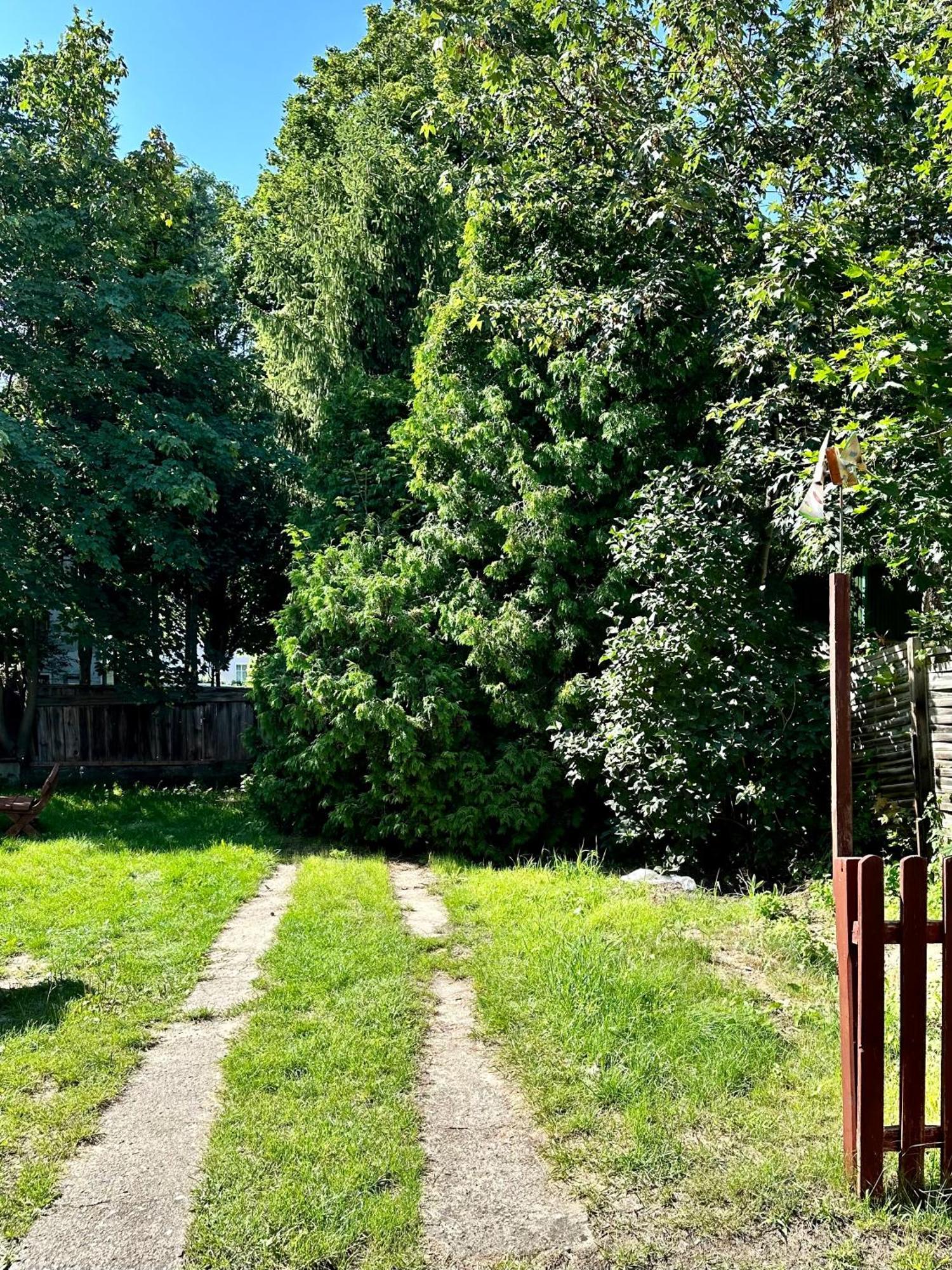 Apartament Malczewskiego 11 *